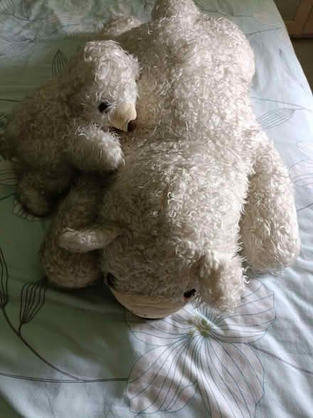 Photo of free Cuddly Polar Bear & Cub (Napsbury AL2) #1