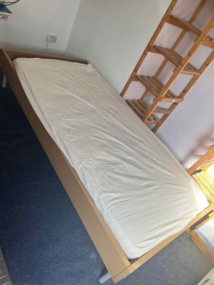 Photo of free single bed and mattress (Cowplain PO8) #2