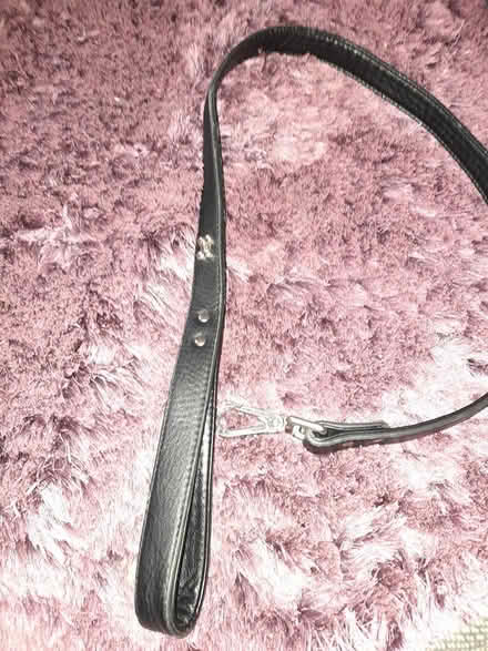Photo of free Black dog lead - pets at home brand (Letchworth Garden City) #1