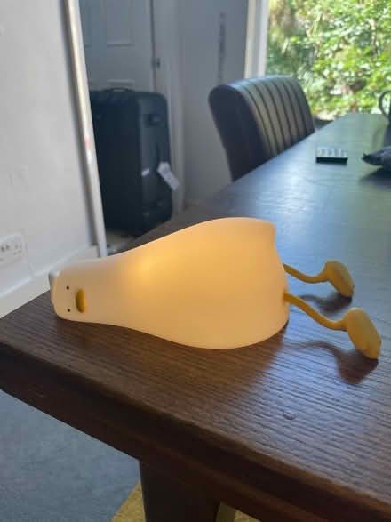 Photo of free Duck night lamp wireless (W6) #1