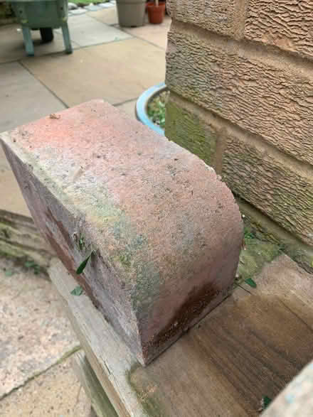 Photo of free Edging blocks (Solihull B91) #1