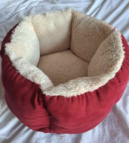 Photo of free Cat bed (Seaside BN22) #1