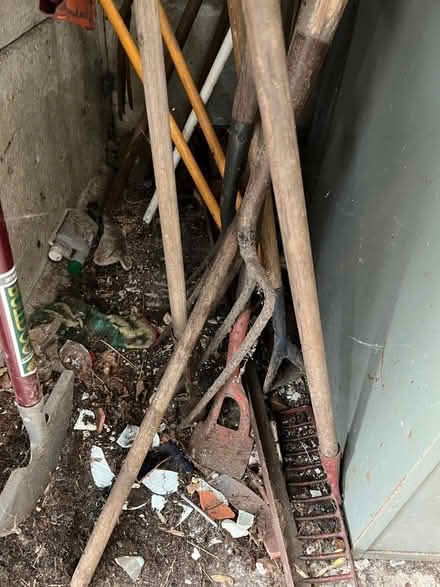 Photo of free Gardening tools (Queensbury NW9) #1