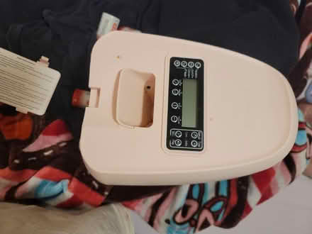 Photo of free Cat supplies (Huntsville) #1