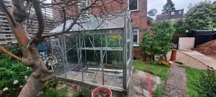 Photo of free Greenhouse (Tile Hill CV4) #1