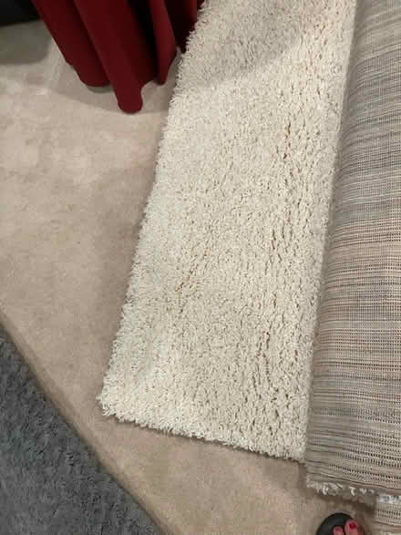 Photo of free 5x7 off white shag rug (East Cobb-Roswell border) #1