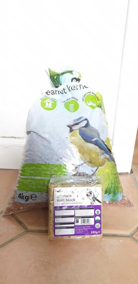 Photo of free Peanuts and suet block for birds (Craigmount EH12) #1