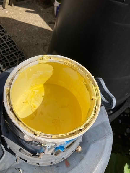 Photo of free Yellow Paint (Southend SS1) #1