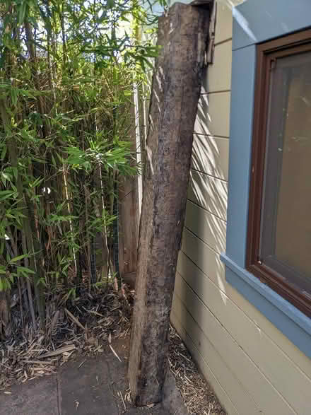 Photo of free rail road tie (Central Berkeley) #1