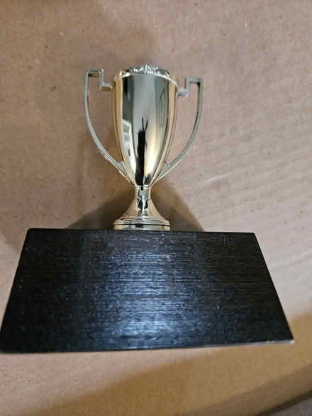 Photo of free Small trophy (paisley and imperial) #3