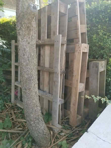 Photo of free Pallets (Upper Walthamstow E17) #1