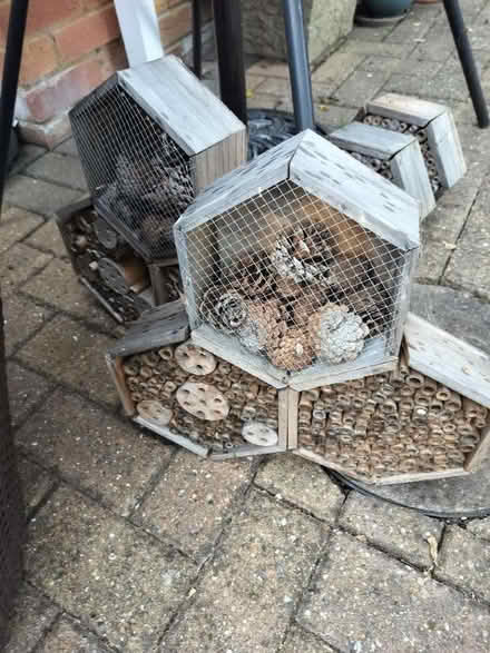 Photo of free Bee hotels (Southcote RG1) #2