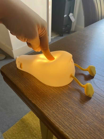 Photo of free Duck night lamp wireless (W6) #3