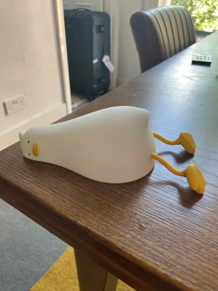 Photo of free Duck night lamp wireless (W6) #2
