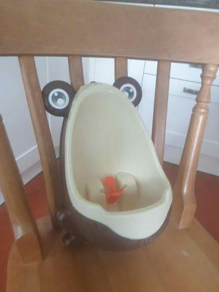 Photo of free Little boys' training urinal (Hitchin SG4) #3