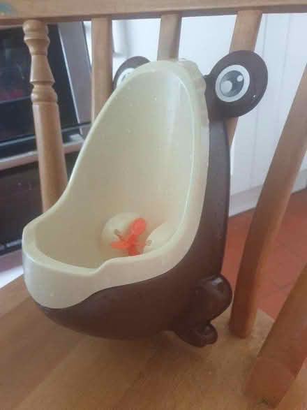 Photo of free Little boys' training urinal (Hitchin SG4) #1