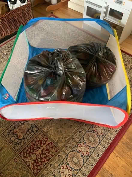 Photo of free Ball Pit (Sayers Common BN6) #1