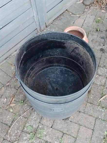 Photo of free Plastic planters (Thornaby Village TS17) #1