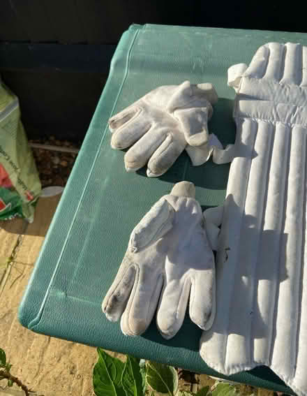Photo of free Child Batting pads & gloves (KT12 Elmbridge) #1
