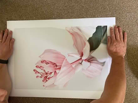 Photo of free Various posters (Stubbington PO14) #4