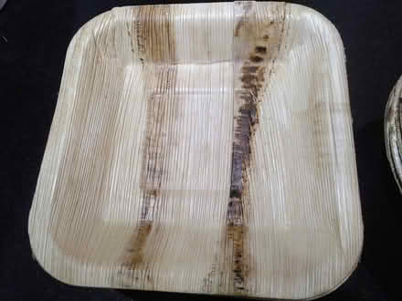 Photo of free Compostable party plates (N7 Holloway Road) #1