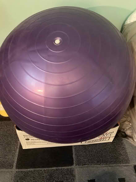Photo of free Exercise ball (Sleepy Hollow by 72 & Randall) #1