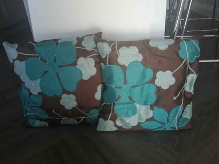 Photo of free Pair of cushions (Arkleston PA4) #1