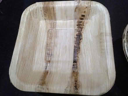 Photo of free Compostable party plates (N7 Holloway Road) #3
