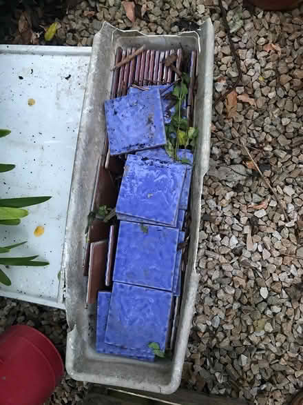 Photo of free Purplish blue tiles (Dalkey) #1