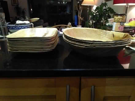 Photo of free Compostable party plates (N7 Holloway Road) #4