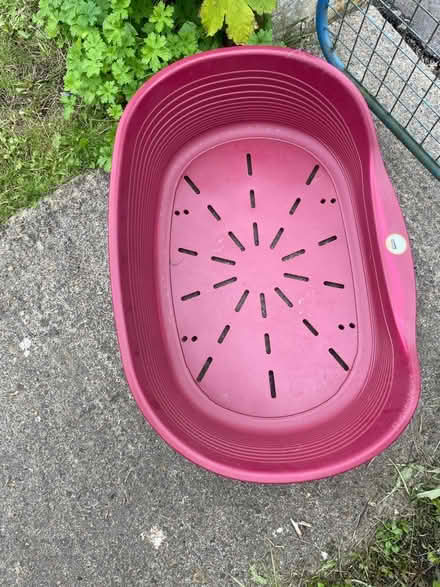 Photo of free Dog bed/box (Bath BA2) #2
