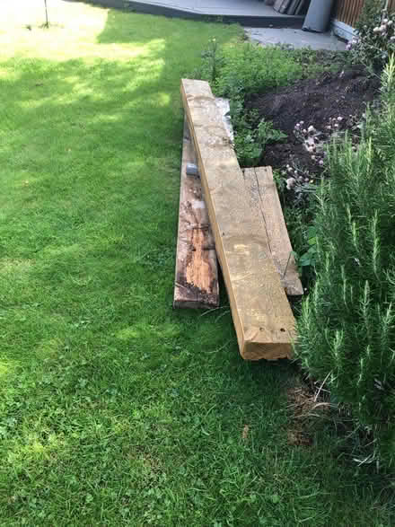 Photo of free Wood (Billericay, CM12) #2