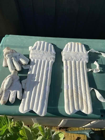 Photo of free Child Batting pads & gloves (KT12 Elmbridge) #2