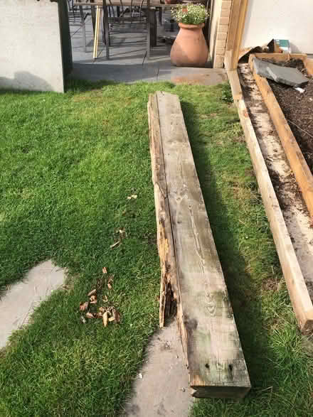 Photo of free Wood (Billericay, CM12) #3