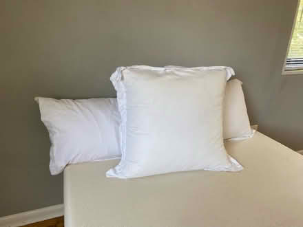 Photo of free Pillows (Arlington, VA (22207)) #1