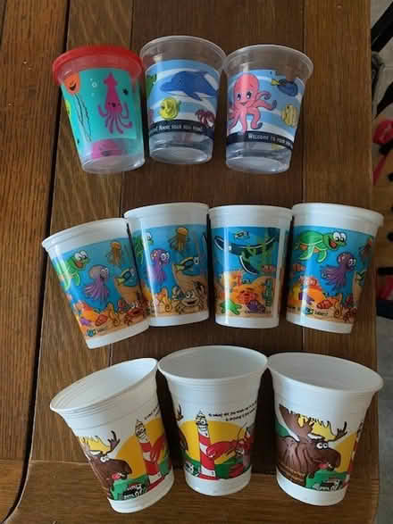 Photo of free Kids' cups (Methuen, MA) #1