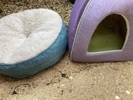 Photo of free Cat beds! And a catch scratch post! Flackwell Heath (Wooburn Green HP10) #1