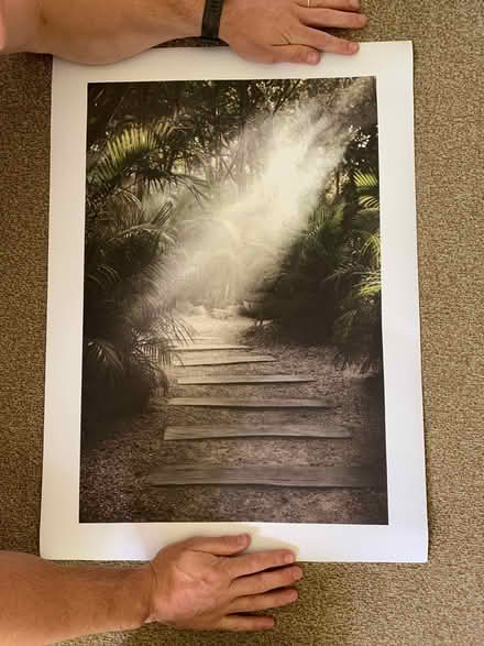 Photo of free Various posters (Stubbington PO14) #3