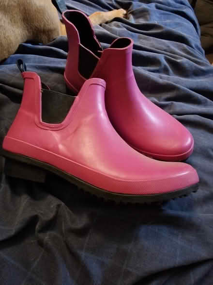 Photo of free Pair of size 7 ladies ankle wellies (Ryelands LA1) #2