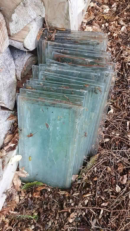 Photo of free 30 glass panes (Marishes YO17) #1