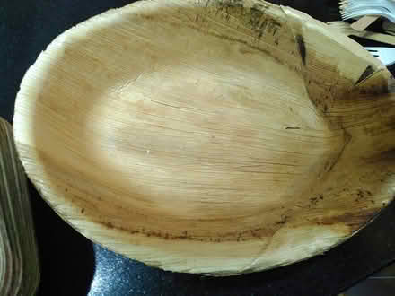 Photo of free Compostable party plates (N7 Holloway Road) #2
