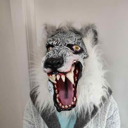 Photo of free Halloween mask (BT6) #1