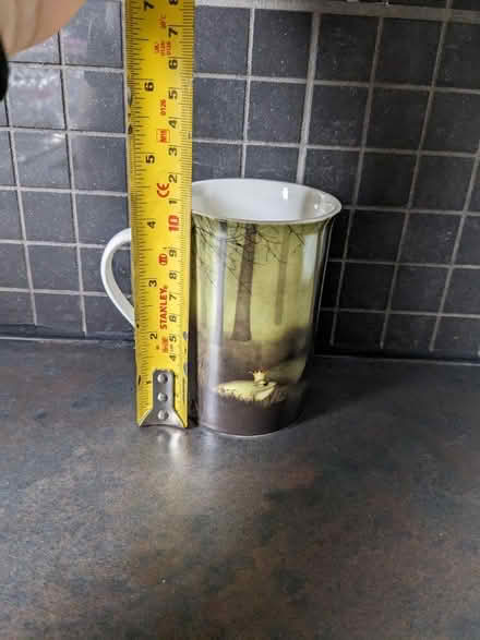 Photo of free Princess and the frog mug (Leyland, Lancashire - PR26) #4