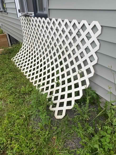 Photo of free Plastic lattice 8’x4’ (Nepean) #1