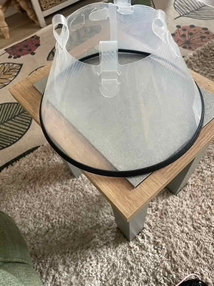 Photo of free Buster collar (Crosshills) #1
