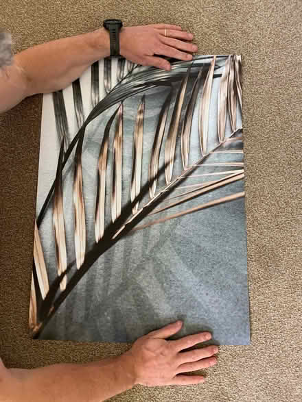 Photo of free Various posters (Stubbington PO14) #1