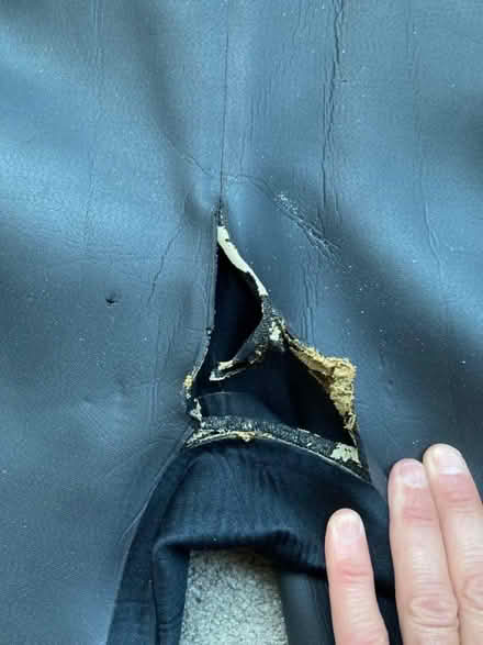 Photo of free Men’s shorty wetsuit, size M/L (Hayes BR2) #2