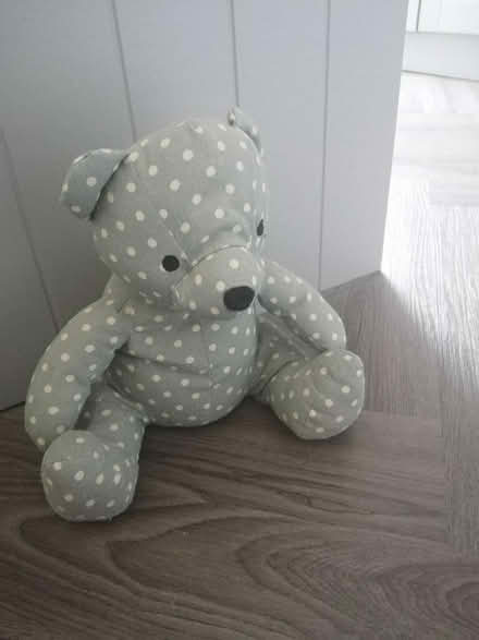 Photo of free Teddy bear weighted door stop (Arkleston PA4) #1