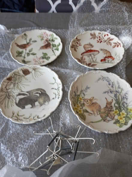 Photo of free Decorative plate collection (Waterlooville and cowplain) #2