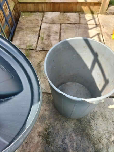 Photo of free Dustbin (TN37 Hastings) #1